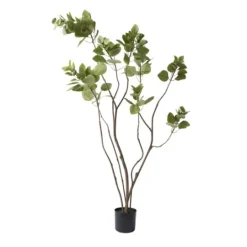 Kirkland's Home Green Potted Cotinus Coggygria Tree, 4 Ft.- Trees & Topiaries