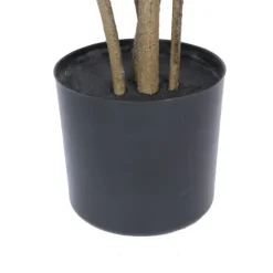 Kirkland's Home Green Potted Cotinus Coggygria Tree, 4 Ft.- Trees & Topiaries