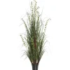 Kirkland's Home Green Potted Eucalyptus Grass, 24 In.- Trees & Topiaries
