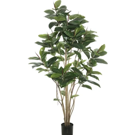Kirkland's Home Green Rubber Tree, 6 Ft.- Trees & Topiaries