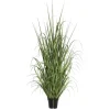 Kirkland's Home Green Ryegrass Potted Plant- Trees & Topiaries