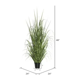 Kirkland's Home Green Ryegrass Potted Plant- Trees & Topiaries