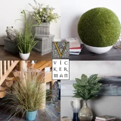 Kirkland's Home Green Ryegrass Potted Plant- Trees & Topiaries