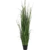 Kirkland's Home Green Sheep Grass Potted Plant- Trees & Topiaries
