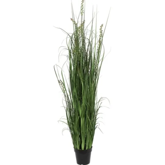 Kirkland's Home Green Sheep Grass Potted Plant- Trees & Topiaries