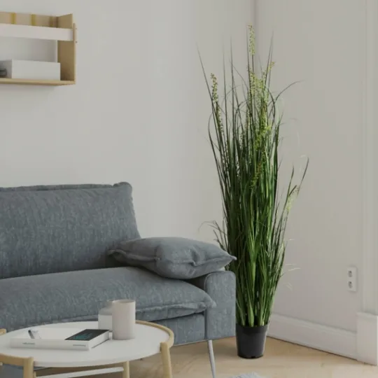 Kirkland's Home Green Sheep Grass Potted Plant- Trees & Topiaries