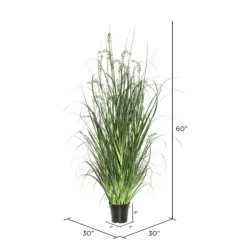 Kirkland's Home Green Sheep Grass Potted Plant- Trees & Topiaries