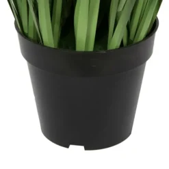 Kirkland's Home Green Sheep Grass Potted Plant- Trees & Topiaries