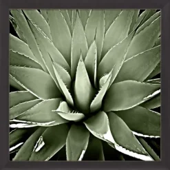 Kirkland's Home Green Succulent Iii Framed Canvas Art- Framed Art