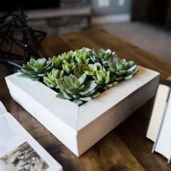 Kirkland's Home Green Succulents In White Rustic Planter- Arrangements & Greenery
