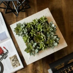 Kirkland's Home Green Succulents In White Rustic Planter- Arrangements & Greenery