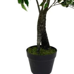 Kirkland's Home Green Variegated Leaf Ficus Tree- Trees & Topiaries