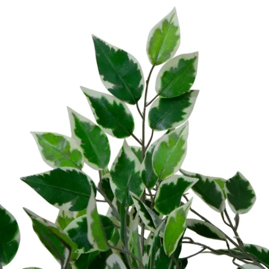 Kirkland's Home Green Variegated Leaf Ficus Tree- Trees & Topiaries
