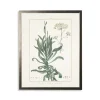 Kirkland's Home Greenery Botanical Ii Pewter Framed Art Print- Framed Art