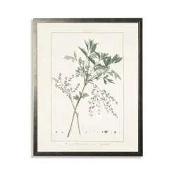 Kirkland's Home Greenery Botanical Iv Pewter Framed Art Print- Framed Art