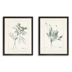 Kirkland's Home Greenery I Framed Art Prints, Set Of 2- Framed Art