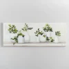 Kirkland's Home Greenery In Bottle Vases Canvas Art Print- Canvas Art