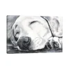 Kirkland's Home Happy Dreams Dog Giclee Canvas Art Print, 40X26- Canvas Art