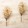 Kirkland's Home Harvest Berry Bundles, Set Of 2- Stems & Bouquets