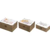 Kirkland's Home Harvest Boxes With Metal Covers, Set Of 3- Decorative Accents