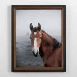 Kirkland's Home Highland Horse Framed Art Print- Framed Art