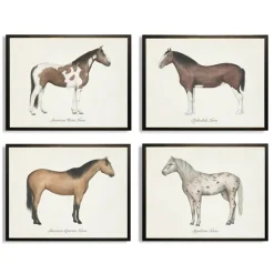 Kirkland's Home Horses Framed Art Prints, Set Of 4- Framed Art