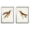 Kirkland's Home Hummingbirds I Framed Art Prints, Set Of 2- Framed Art