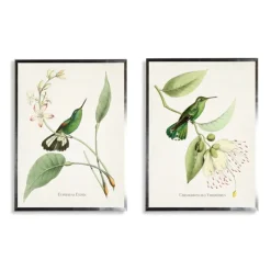 Kirkland's Home Hummingbirds On Flowers 2-Pc. Framed Art Print Set- Framed Art