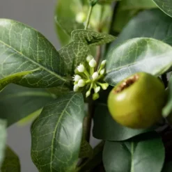 Kirkland's Home Israeli Ruscus Pods Wreath- Wreaths