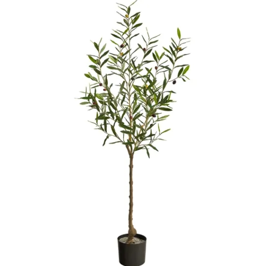 Kirkland's Home Italian Olive Tree In Black Nursery Planter, 5 Ft.- Trees & Topiaries