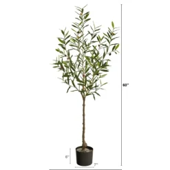 Kirkland's Home Italian Olive Tree In Black Nursery Planter, 5 Ft.- Trees & Topiaries