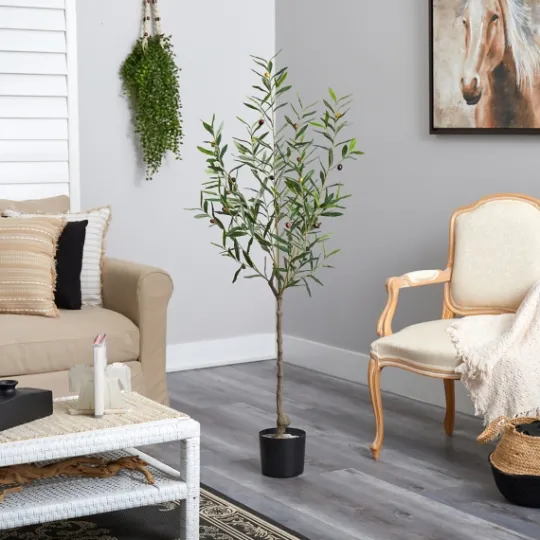 Kirkland's Home Italian Olive Tree In Black Nursery Planter, 5 Ft.- Trees & Topiaries