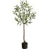 Kirkland's Home Italian Olive Tree In Black Nursery Planter, 4 Ft.- Trees & Topiaries