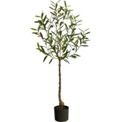 Kirkland's Home Italian Olive Tree In Black Nursery Planter, 4 Ft.- Trees & Topiaries