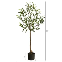 Kirkland's Home Italian Olive Tree In Black Nursery Planter, 4 Ft.- Trees & Topiaries