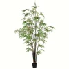 Kirkland's Home Japanese Bamboo Tree In Black Planter, 6 Ft.- Trees & Topiaries