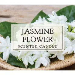 Kirkland's Home Jasmine Flower Votive Candles, Set Of 8- Candles