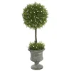 Kirkland's Home Juniper Ball Tree In Pedestal Urn- Trees & Topiaries