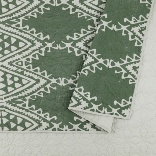 Kirkland's Home Justina Blakeney Aisha Queen Quilt Set- Quilts