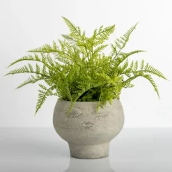 Kirkland's Home Lace Fern Plant In Face Planter- Arrangements & Greenery