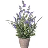 Kirkland's Home Lavender Plant In Speckled Cement Planter- Arrangements & Greenery