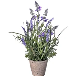 Kirkland's Home Lavender Plant In Speckled Cement Planter- Arrangements & Greenery