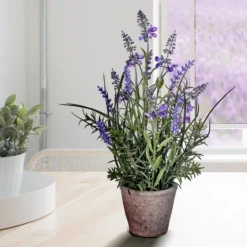 Kirkland's Home Lavender Plant In Speckled Cement Planter- Arrangements & Greenery