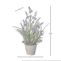 Kirkland's Home Lavender Plant In Speckled Cement Planter- Arrangements & Greenery