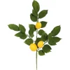 Kirkland's Home Lemon Leaf Spray Stems, Set Of 4- Stems & Bouquets
