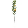 Kirkland's Home Lemon Tree Branch Stem Spray, 48 In.- Stems & Bouquets