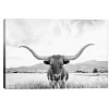 Kirkland's Home Longhorn Giclee Canvas Art Print- Canvas Art