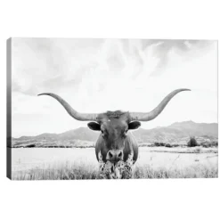 Kirkland's Home Longhorn Giclee Canvas Art Print- Canvas Art