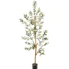 Kirkland's Home Lucky Olive Tree In Nursery Planter, 54 In.- Trees & Topiaries