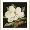 Kirkland's Home Magnolia Grandflora Framed Art Print- Framed Art